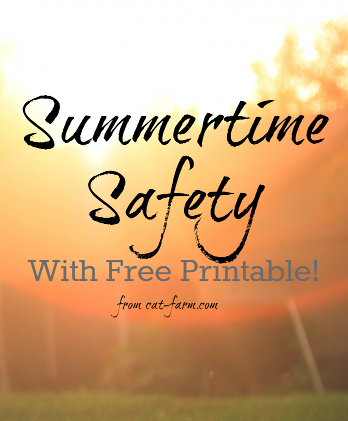 Heat safety for summertime with free printable.