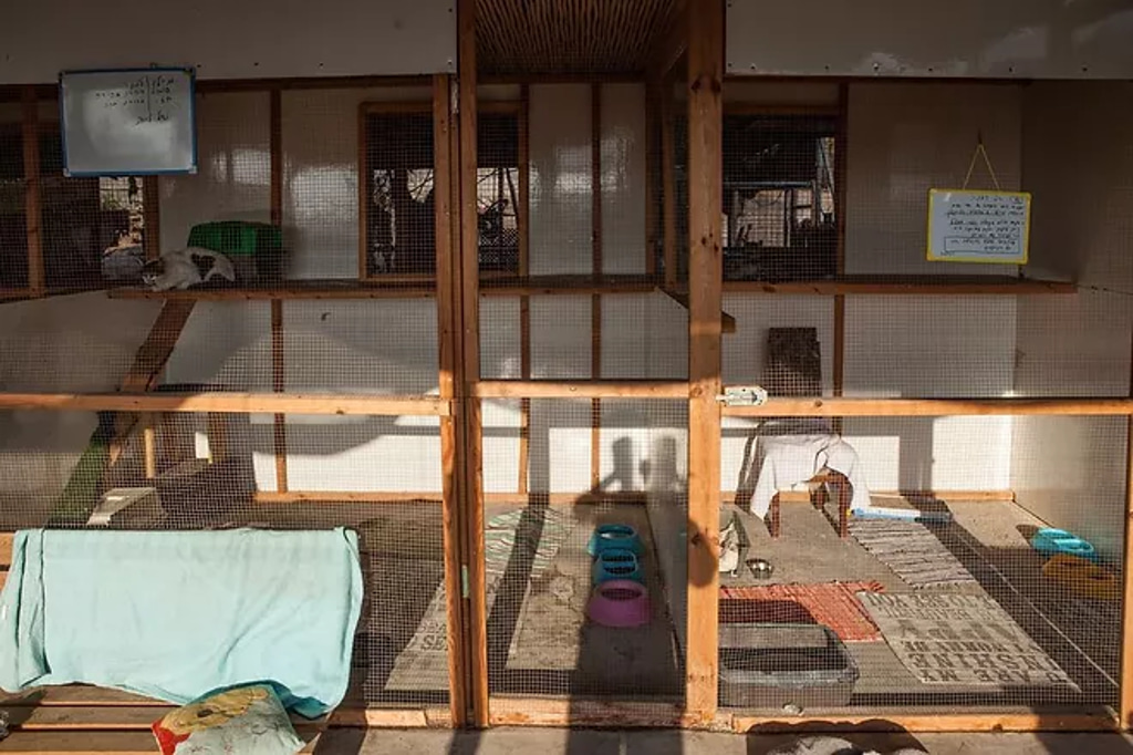 חוות החתולים - חדרים