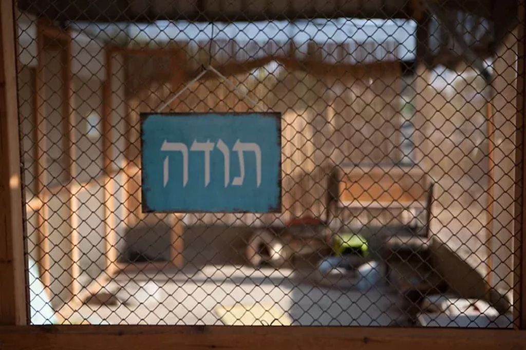 חוות החתולים - מתחם